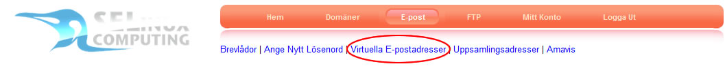 Handle e-mail - Virtual Email Address